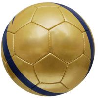 Training Ball