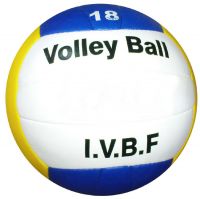 Volley Ball